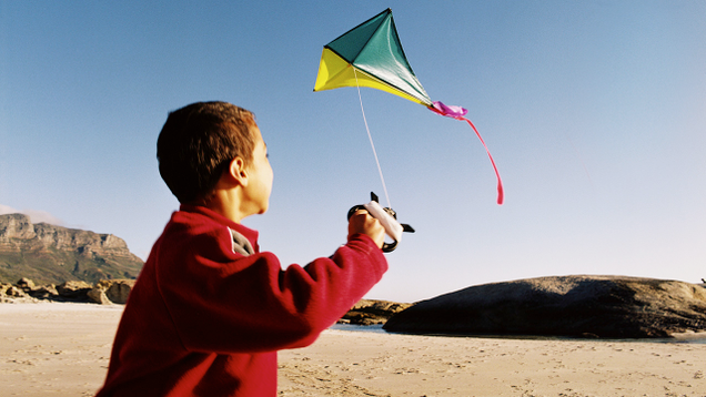 Illustration for article titled This Is Simply A List Of Black People Flying Kites